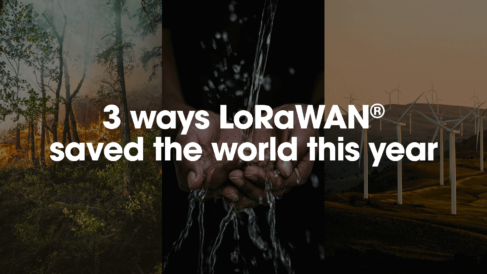 3 Ways LoRaWAN® Saved The World This Year | The Things Industries