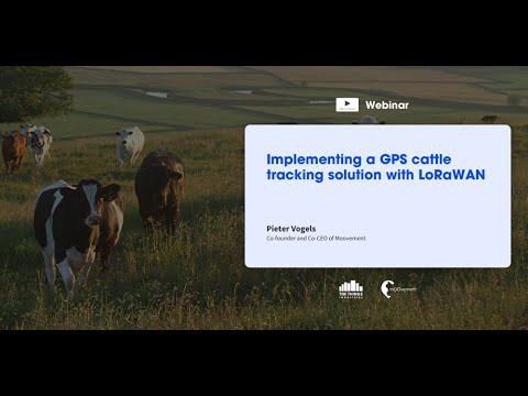 Implementing a GPS cattle tracking solution with LoRaWAN