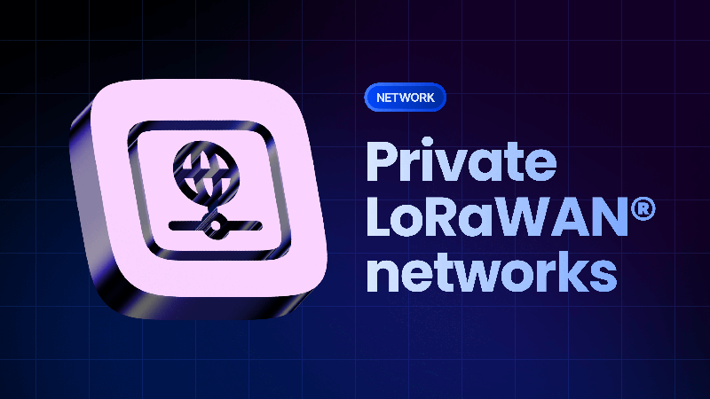 Benefits of Private LoRaWAN® Networks: The Sweet Spot of IoT