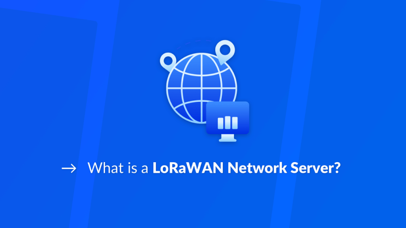 What is a LoRaWAN Network Server?